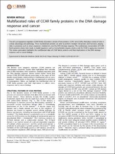 Multifaceted roles of CCAR family proteins in the DNA damage response and cancer