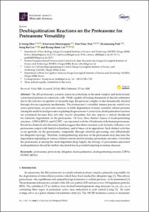 Deubiquitination Reactions on the Proteasome for Proteasome Versatility