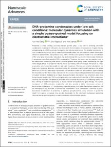 DNA-protamine condensates under low salt conditions: molecular dynamics simulation with a simple coarse-grained model focusing on electrostatic interactions