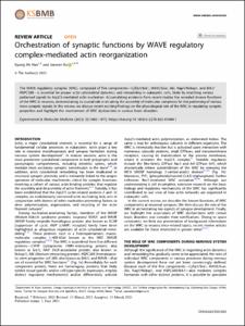 Orchestration of synaptic functions by WAVE regulatory complex-mediated actin reorganization