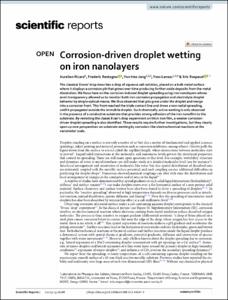 Corrosion-driven droplet wetting on iron nanolayers