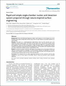Rapid and simple single-chamber nucleic acid detection system prepared through nature-inspired surface engineering