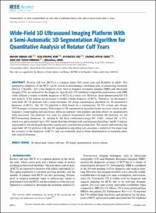 Wide-Field 3D Ultrasound Imaging Platform with a Semi-Automatic 3D Segmentation Algorithm for Quantitative Analysis of Rotator Cuff Tears