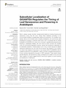 Subcellular Localization of GIGANTEA Regulates the Timing of Leaf Senescence and Flowering in Arabidopsis