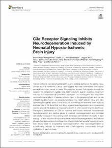 C3a Receptor Signaling Inhibits Neurodegeneration Induced by Neonatal Hypoxic-Ischemic Brain Injury