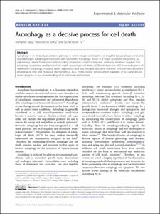 Autophagy as a decisive process for cell death