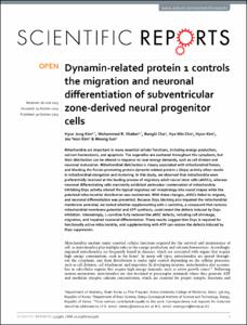 Dynamin-related protein 1 controls the migration and neuronal differentiation of subventricular zone-derived neural progenitor cells