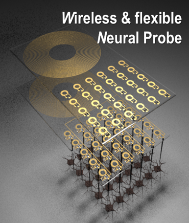 Advanced Electronic Devices Research Group(AEDRG) - Jang Lab. cover image