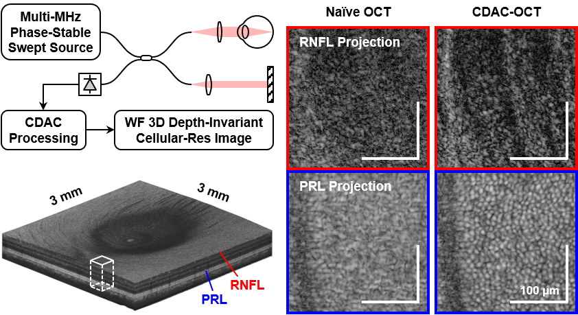 Computational Optics and Biophotonic Imaging Laboratory cover image