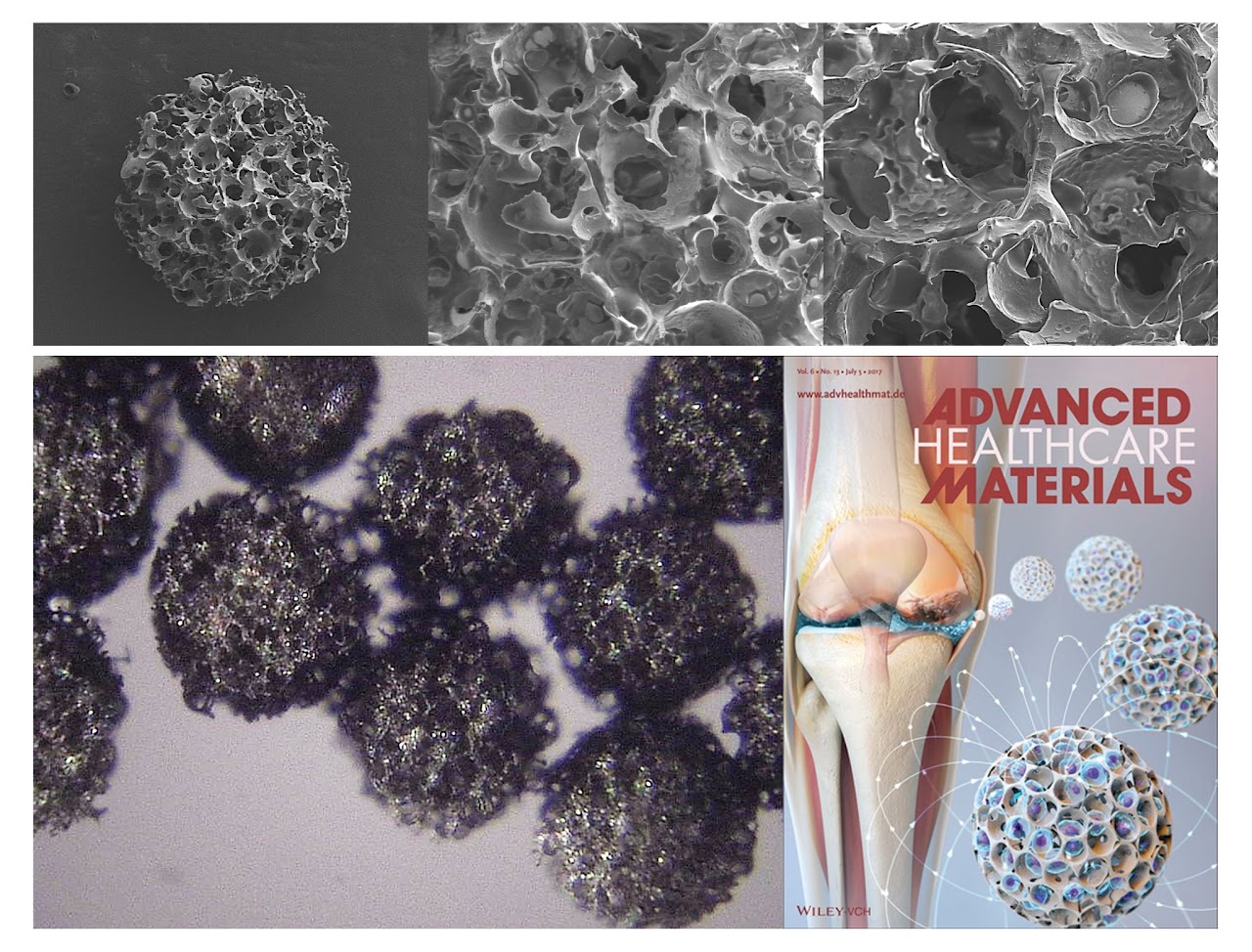 Multiscale Biomedical Robotics Laboratory cover image