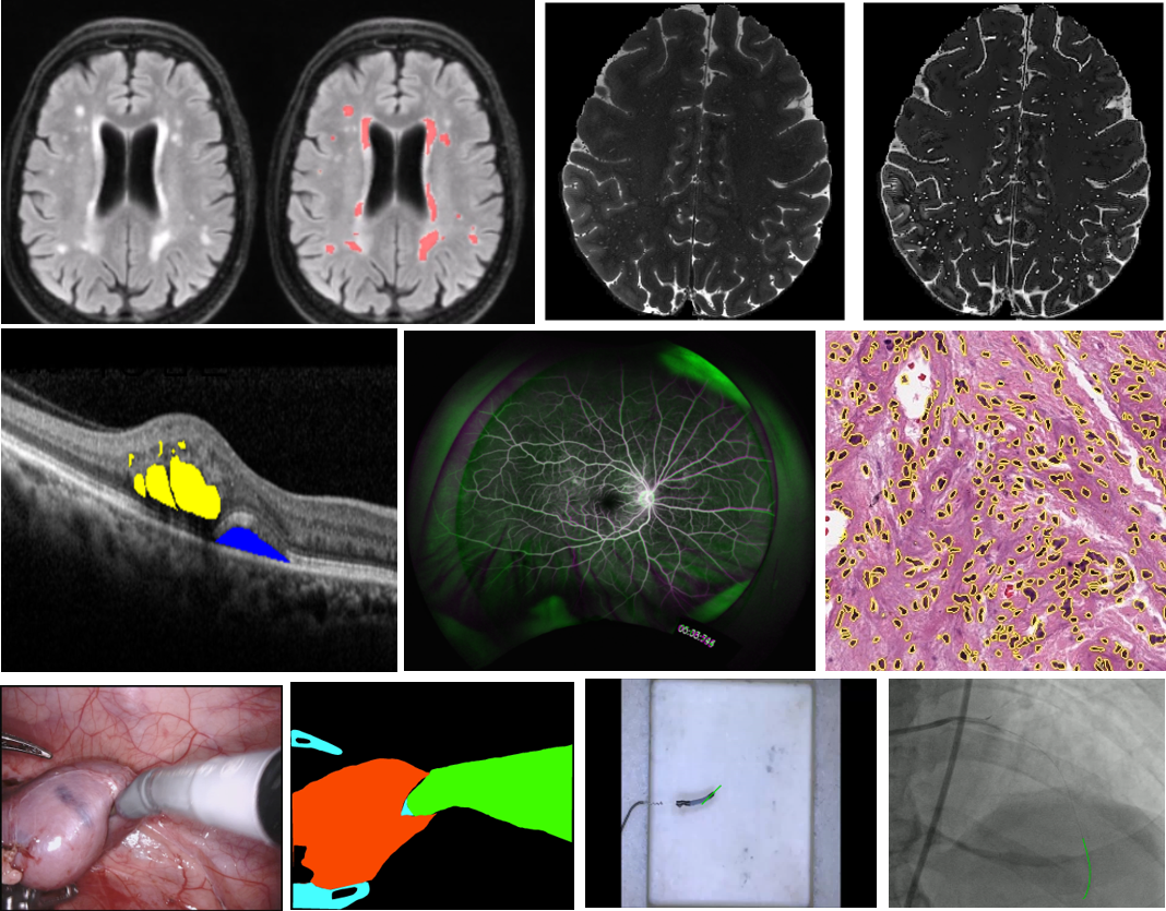 Medical Image & Signal Processing Lab cover image