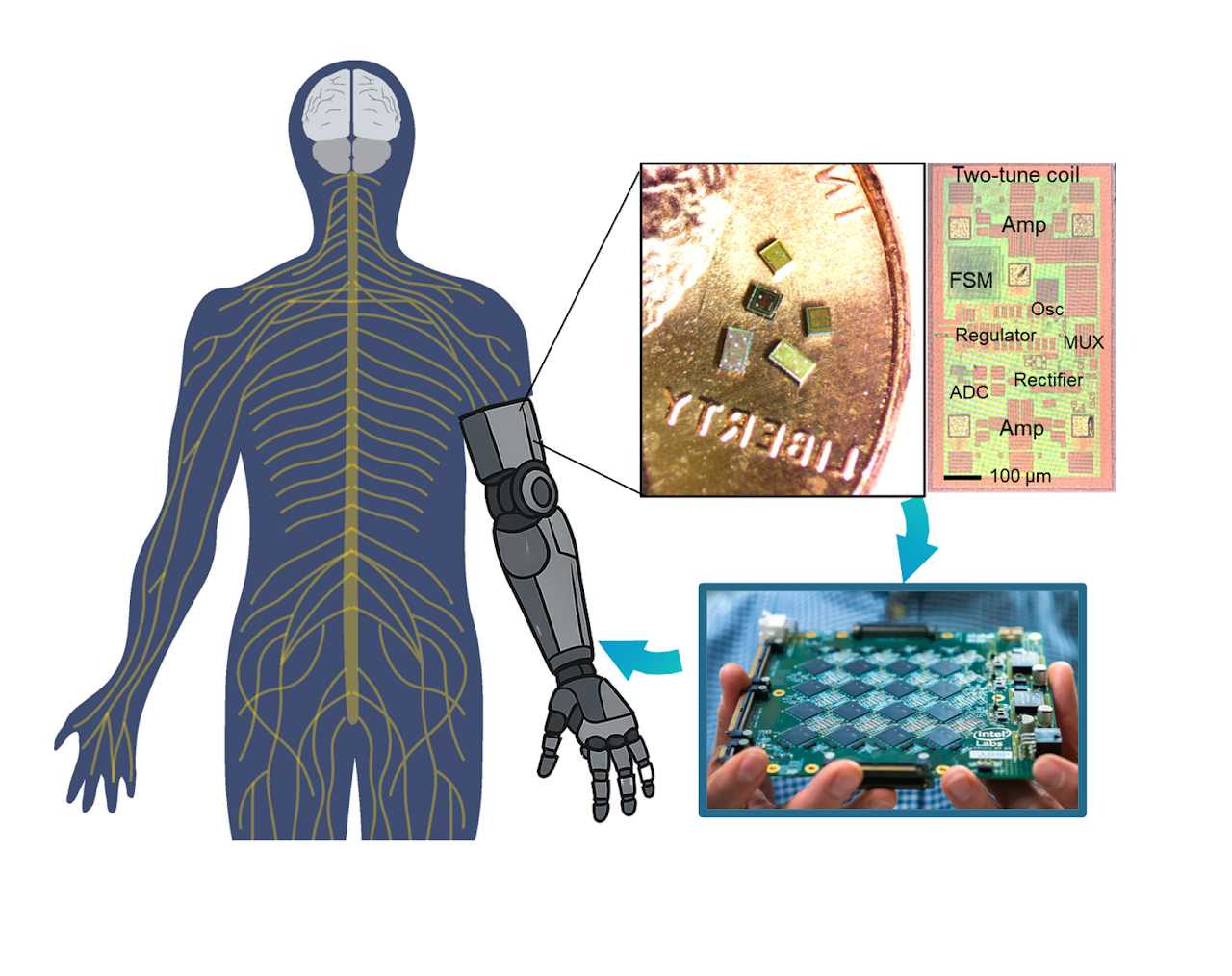 Neuro-Machine Interface Lab cover image