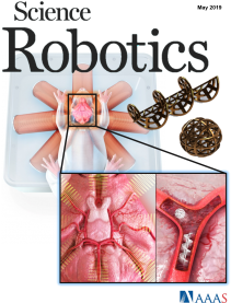 Bio-Micro Robotics Lab cover image