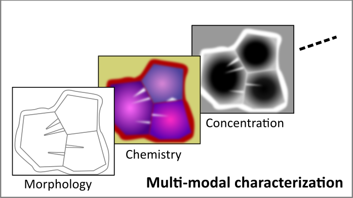 Laboratory of Electrochemical Materials and Interfaces cover image