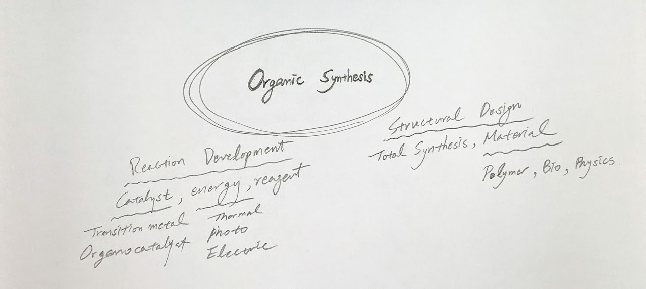 Organic Synthesis & Catalysis Lab cover image