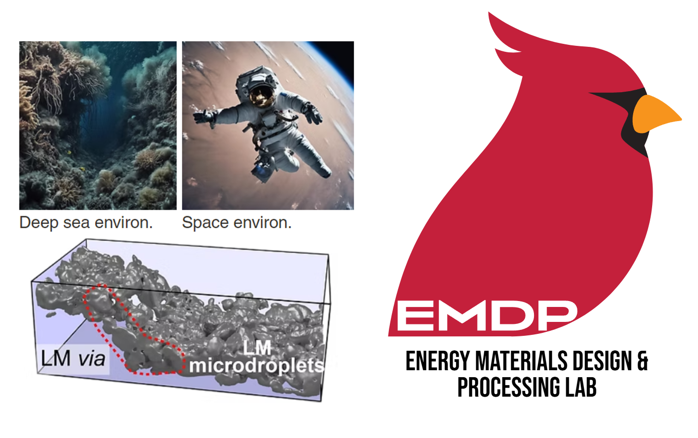 Energy Materials Design and Processing Lab cover image