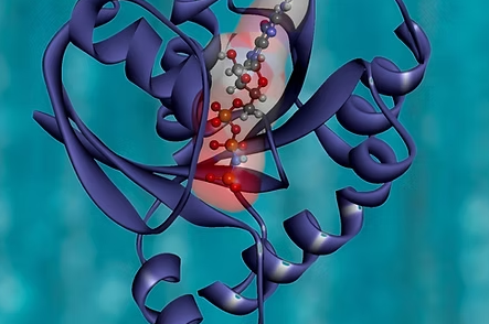 Chemical Design & Sustainable Catalysis cover image