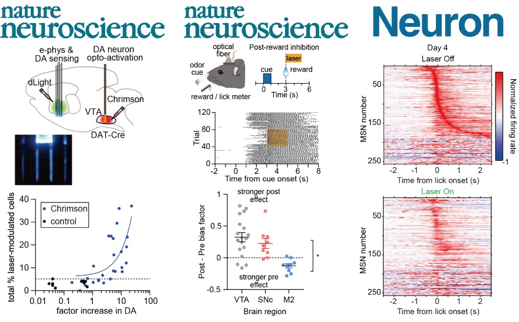 Neural Dynamics Laboratory cover image