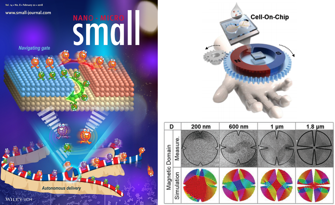 Lab for NanoBio-MatErials & SpinTronics cover image