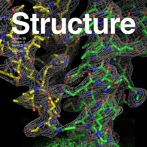 Biointerface Structure and Skin Lab cover image
