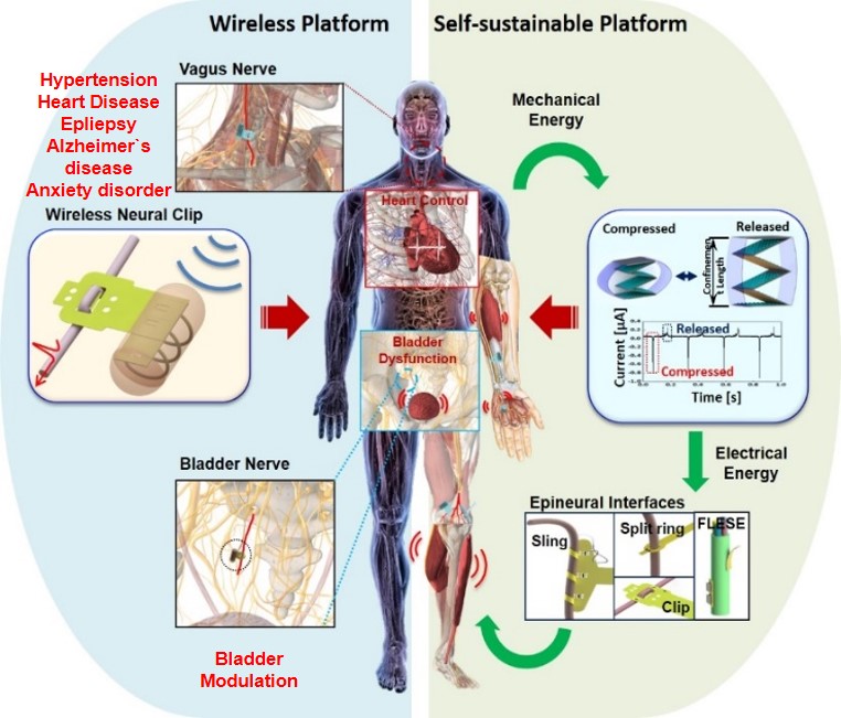 Neuro-Interfaced Robotics Lab cover image