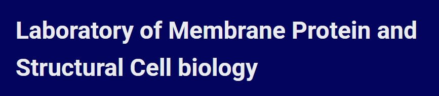 Laboratory of Membrane Protein and Structural Cell biology cover image