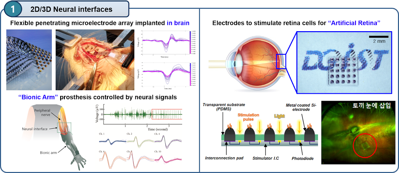 Neural Interfaces & MicroSystems Lab cover image