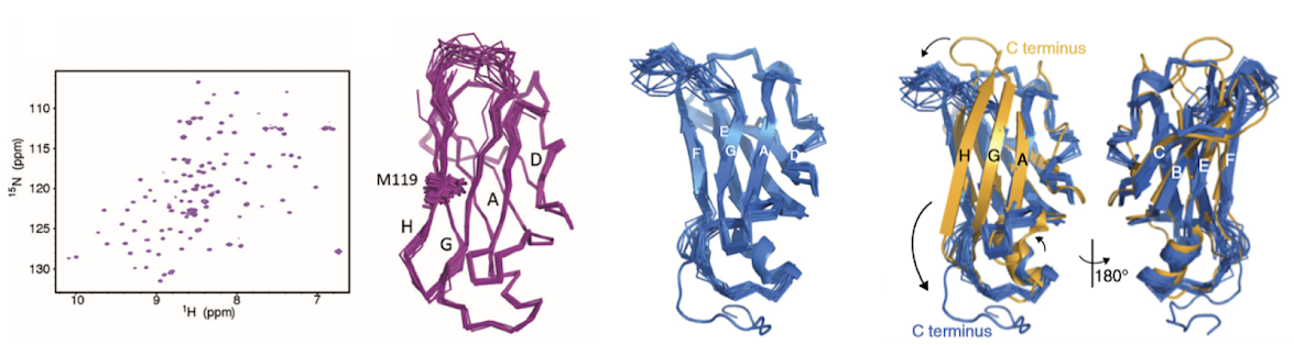 Protein Structure Aging Laboratory cover image