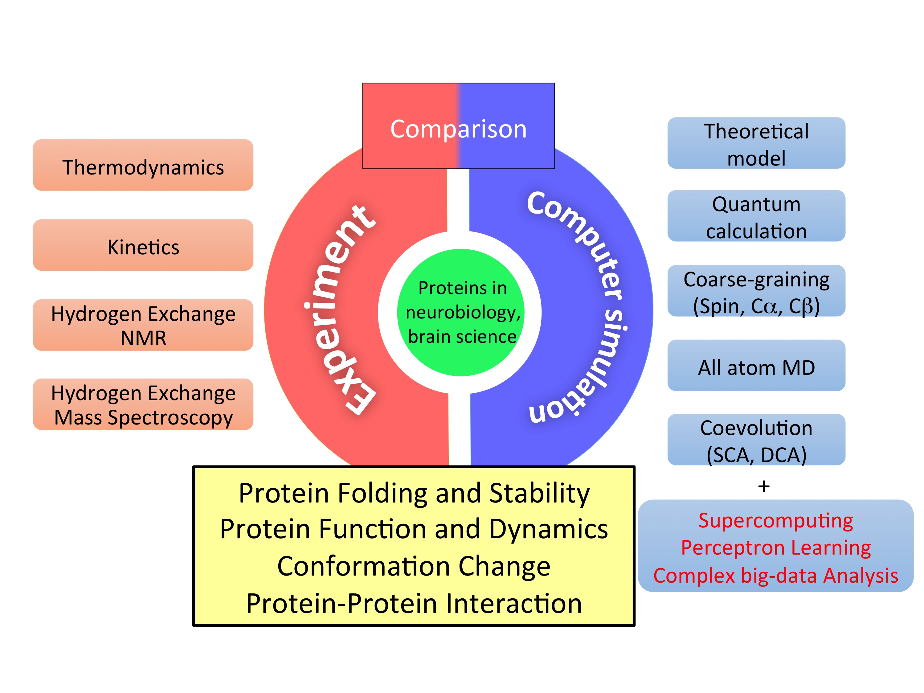 Laboratory of Protein Biophysics cover image