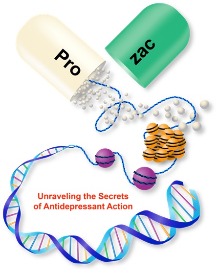 Molecular Psychiatry Lab cover image