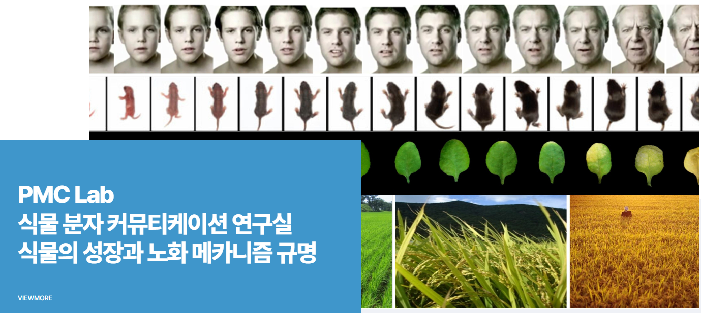 Plant Molecular Communication Lab cover image