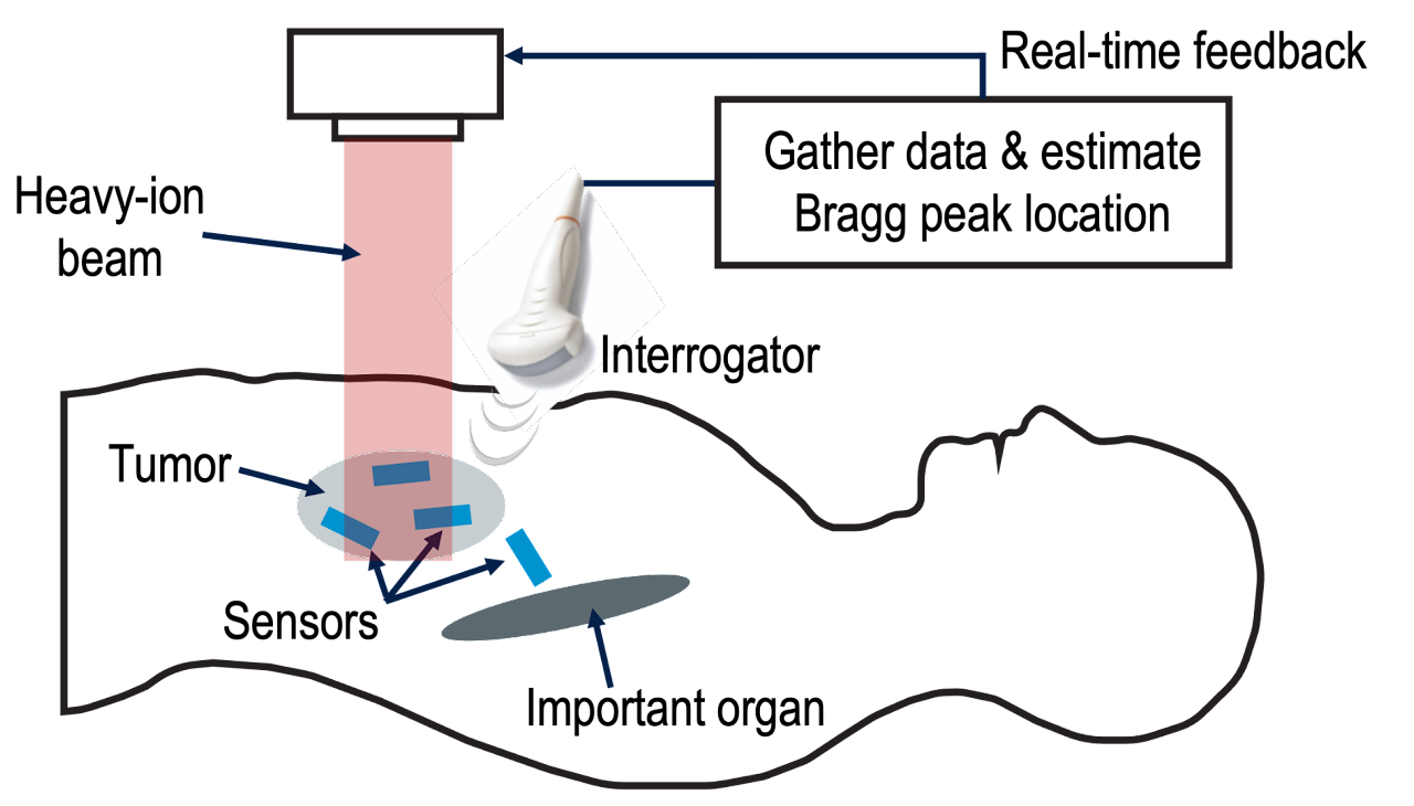 Sensor Systems and Circuits Laboratory cover image
