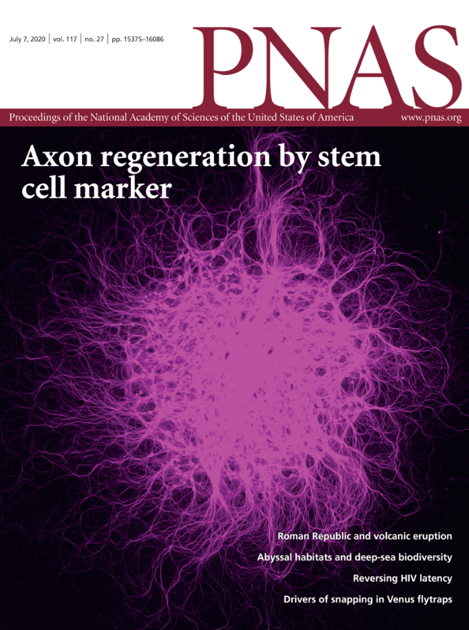 Laboratory of Axon Regeneration and Degeneration cover image