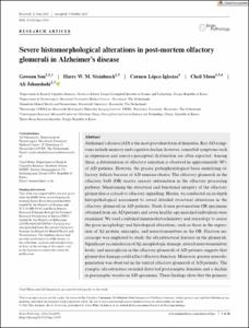 Severe histomorphological alterations in post‐mortem olfactory glomeruli in Alzheimer’s disease