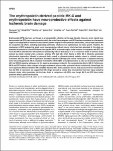 The erythropoietin-derived peptide MK-X and erythropoietin have neuroprotective effects against ischemic brain damage