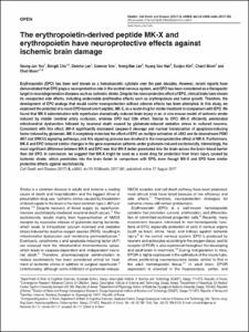 The erythropoietin-derived peptide MK-X and erythropoietin have neuroprotective effects against ischemic brain damage