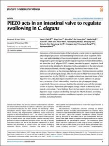 PIEZO acts in an intestinal valve to regulate swallowing in C. elegans