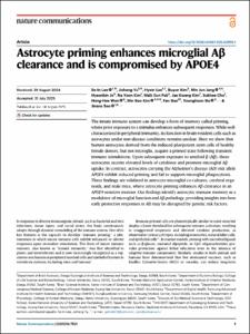 Astrocyte priming enhances microglial Aβ clearance and is compromised by APOE4