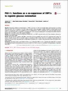 PGC-1 alpha functions as a co-suppressor of XBP1 s to regulate glucose metabolism