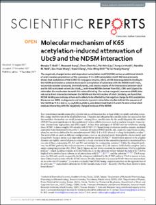 Molecular mechanism of K65 acetylation-induced attenuation of Ubc9 and the NDSM interaction