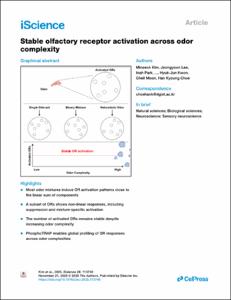 Stable olfactory receptor activation across odor complexity