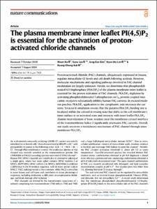 The plasma membrane inner leaflet PI(4,5)P2 is essential for the activation of proton-activated chloride channels