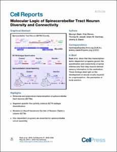Molecular Logic of Spinocerebellar Tract Neuron Diversity and Connectivity