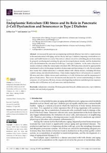 Endoplasmic Reticulum (ER) Stress and Its Role in Pancreatic beta-Cell Dysfunction and Senescence in Type 2 Diabetes