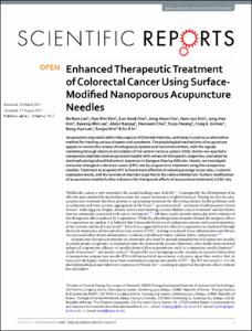 Enhanced Therapeutic Treatment of Colorectal Cancer Using Surface-Modified Nanoporous Acupuncture Needles