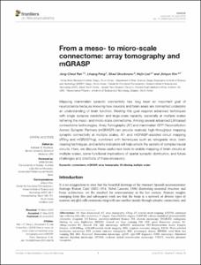 From a meso- to micro-scale connectome: array tomography and mGRASP