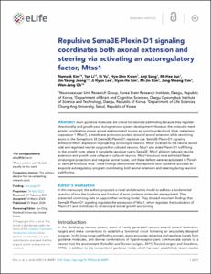 Repulsive Sema3E-Plexin-D1 signaling coordinates both axonal extension and steering via activating an autoregulatory factor, Mtss1