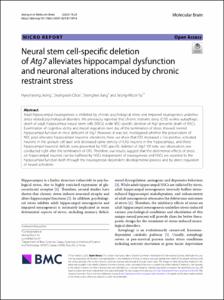 Neural stem cell-specific deletion of Atg7 alleviates hippocampal dysfunction and neuronal alterations induced by chronic restraint stress