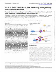 OTUD5 limits replication fork instability by organizing chromatin remodelers