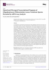 Shared and Divergent Transcriptional Programs of Oligodendrocyte Differentiation Across Vertebrate Species Revealed by scRNA-seq Analysis
